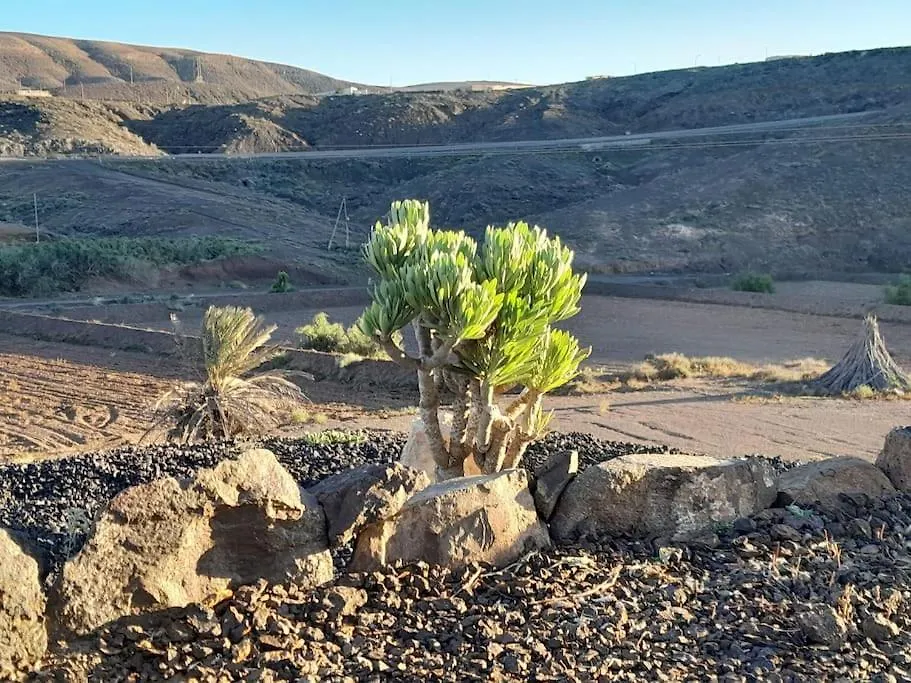 Casagrande Rural Life-Las Hermosas Pajara  Pajara (Fuerteventura)